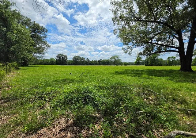 Homes for sale in Lovelady, TX | 0 Fm 1280, Lovelady, TX 75851 | MLS# 83679829