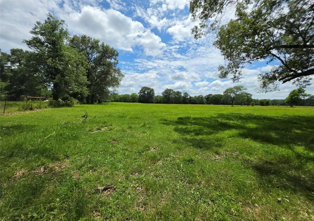 Homes for sale in Lovelady, TX | 0 Fm 1280, Lovelady, TX 75851 | MLS# 83679829