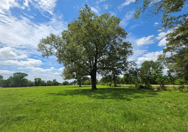 Homes for sale in Lovelady, TX | 0 Fm 1280, Lovelady, TX 75851 | MLS# 83679829