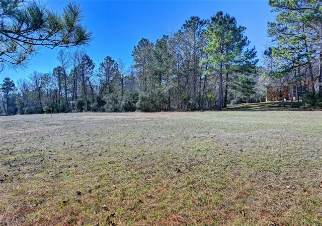 4th image of 405 Arbor Way Ct, Montgomery, TX 77316 | MLS# 4393813