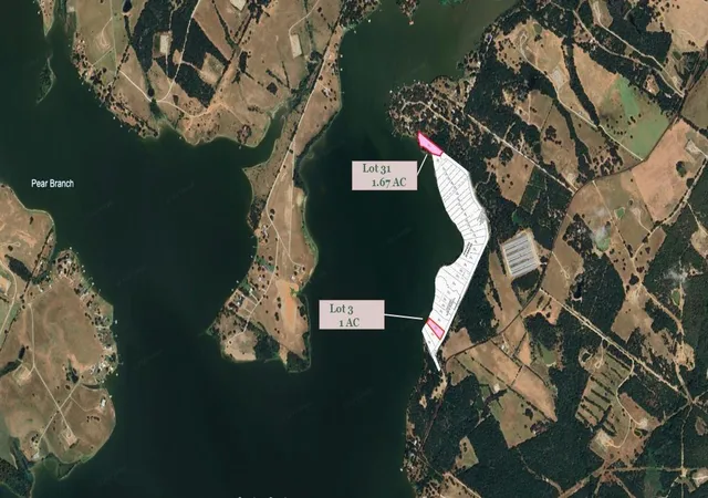 7th image of Lot 31  Lcr 882 Limestone County Road, Jewett, TX 75846 | MLS# 65700629