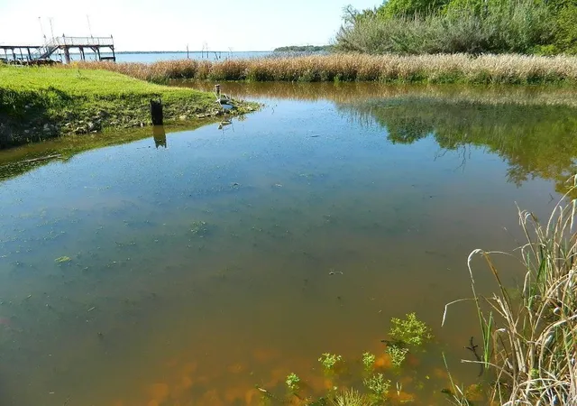 Photo 1 of Land for sale at 371 Cr 371, Jewett, TX 75846 | MLS# 7792439 | Listing updated on 2026-08-30
