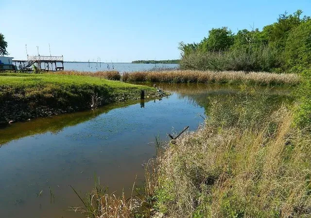 Photo 2 of Land for sale at 371 Cr 371, Jewett, TX 75846 | MLS# 7792439 | Listing updated on 2026-08-30
