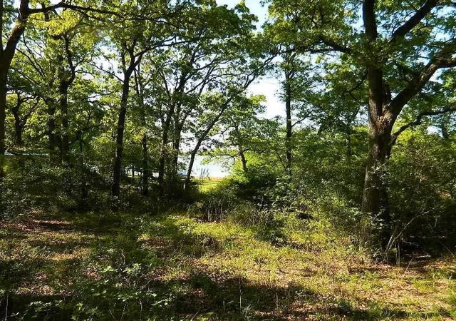 Photo 2 of Land for sale at 371 Cr 371, Jewett, TX 75846 | MLS# 7792439 | Listing updated on 2026-08-30