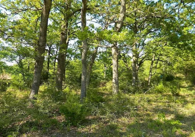 Photo 5 of Land for sale at 371 Cr 371, Jewett, TX 75846 | MLS# 7792439 | Listing updated on 2026-08-30