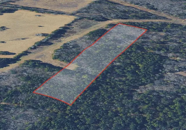 Photo 3 of Land for sale at 0 County Rd 2484, Mineola, TX 75773 | MLS# 56006332 | Listing updated on 2026-10-01
