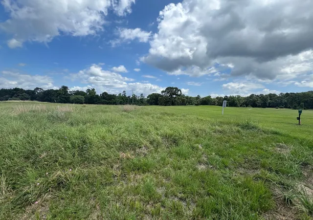 Photo 2 of Land for sale at 0 Richmond Cir, Trinity, TX 75862 | MLS# 97524453 | Listing updated on 2026-06-19