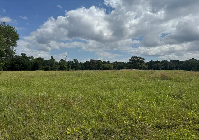 Photo 3 of Land for sale at 0 Richmond Cir, Trinity, TX 75862 | MLS# 97524453 | Listing updated on 2026-06-19