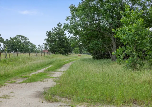 Photo 2 of Land for sale at 120 Ave M, Somerville, TX 77879 | MLS# 83404916 | Listing updated on 2026-05-20