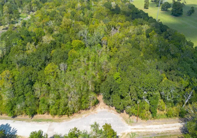 2nd image of 0 Bear Bottom Dr, Wharton, TX 77488 | MLS# 9475561