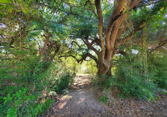 Photo 4 of Land for sale at 0 Schroeder Rd, Houston, TX 77070 | MLS# 18966187 | Listing updated on 2026-06-17