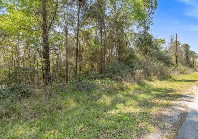 Homes for sale in Trinity, TX | 0 Sportsman Dr, Trinity, TX 75862 | MLS# 81011863