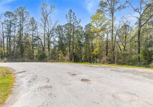 Homes for sale in Trinity, TX | 0 Sportsman Dr, Trinity, TX 75862 | MLS# 81011863