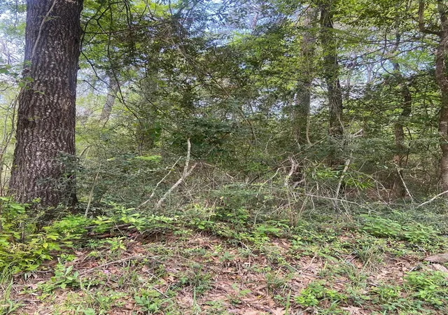 1st image of 0 Friar Tuck Dr, Shepherd, TX 77371 | MLS# 64457020