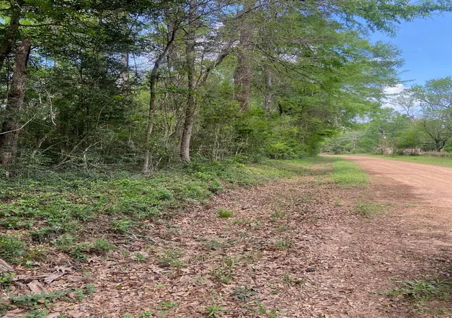 2nd image of 0 Friar Tuck Dr, Shepherd, TX 77371 | MLS# 64457020