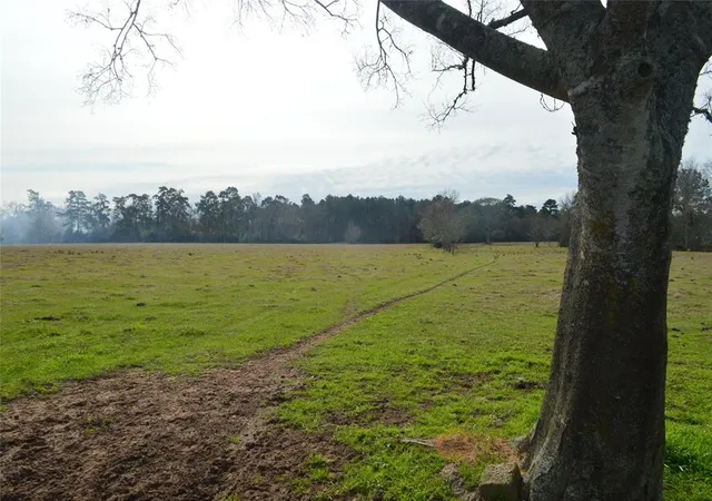 Photo 1 of Land for sale at Tbd 001 Wiggins, Conroe, TX 77302 | MLS# 67068237 | Listing updated on 2025-11-03