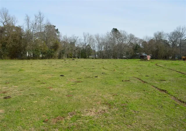 Photo 3 of Land for sale at Tbd 001 Wiggins, Conroe, TX 77302 | MLS# 67068237 | Listing updated on 2025-11-03