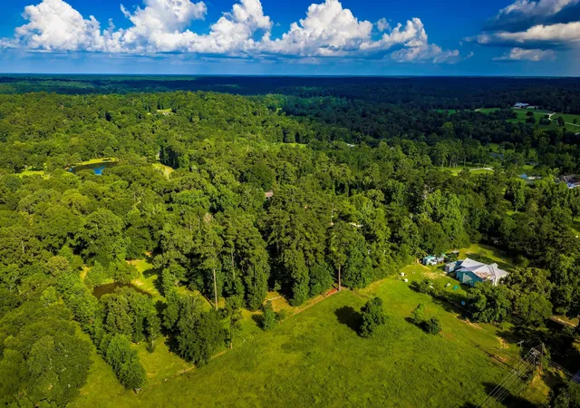 49th image of 1699 Old Woodville Rd, Livingston, TX 77351 | MLS# 77973494
