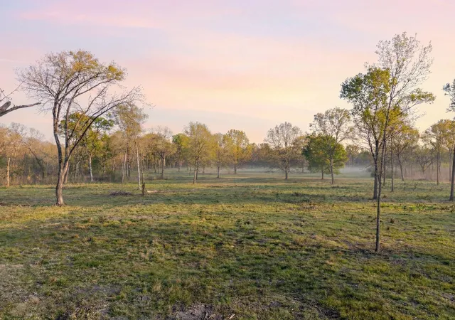 3rd image of Lot 5 Johnson Dr, Livingston, TX 77351 | MLS# 64724051