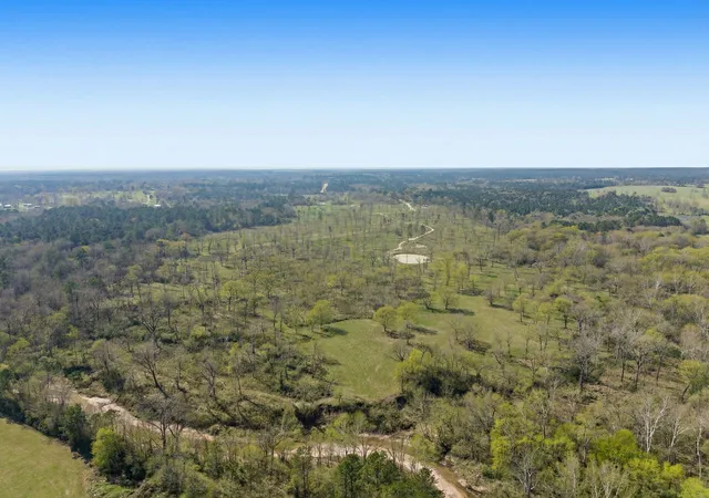 5th image of Lot 5 Johnson Dr, Livingston, TX 77351 | MLS# 64724051
