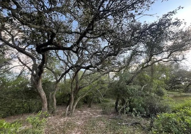 Homes for sale in Garwood, TX | 1600 County Road 121, Garwood, TX 77460 | MLS# 22387399