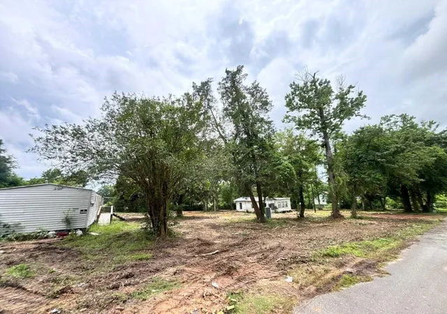 Photo 4 of Single family home for sale at 19875 Ava Ln, Montgomery, TX 77316 | MLS# 86806927 | Listing updated on 2026-07-20