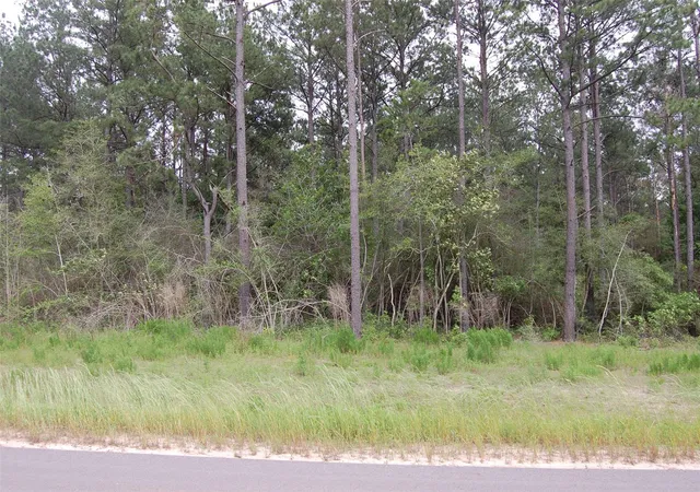 Photo 1 of Land for sale at 15674 Forest Grove Dr, Willis, TX 77378 | MLS# 61504951 | Listing updated on 2026-08-27