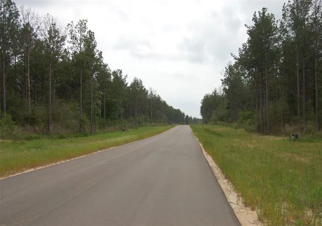 Photo 2 of Land for sale at 15674 Forest Grove Dr, Willis, TX 77378 | MLS# 61504951 | Listing updated on 2026-08-27