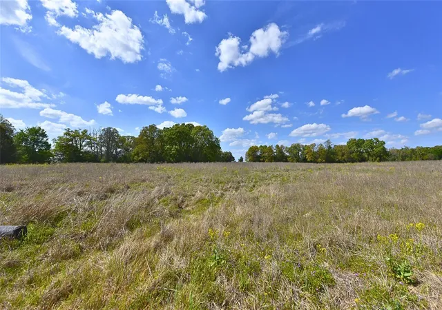 Photo 4 of Land for sale at Tracts 29 & 30 Legacy Rd 10 Acres, Caldwell, TX 77879 | MLS# 25505066 | Listing updated on 2026-04-10