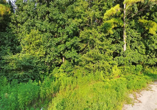 Photo 3 of Land for sale at 25973 Sussex, New Caney, TX 77357 | MLS# 22764645 | Listing updated on 2026-07-16