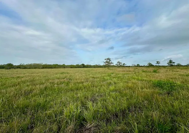 2nd image of 6742 Eagle Rd, Anahuac, TX 77514 | MLS# 67763684
