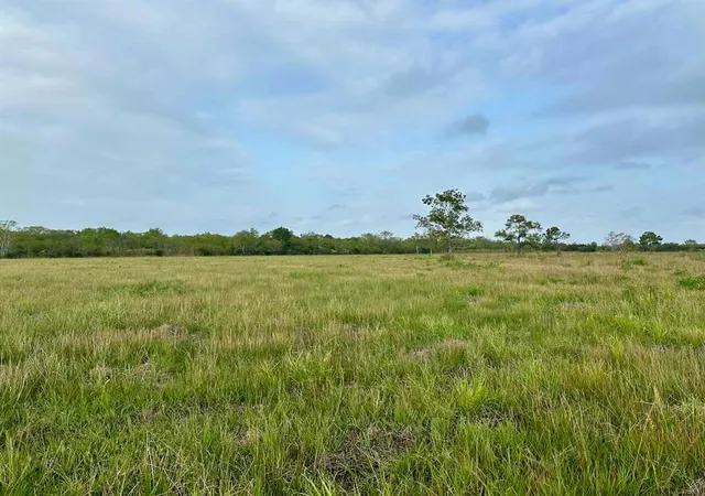 4th image of 6742 Eagle Rd, Anahuac, TX 77514 | MLS# 67763684