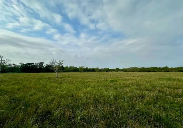 5th image of 6742 Eagle Rd, Anahuac, TX 77514 | MLS# 67763684