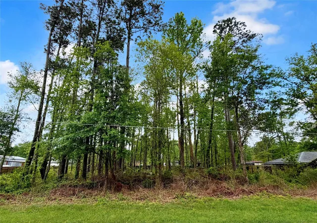 Photo 3 of Land for sale at 103 County Rd 432, Dayton, TX 77535 | MLS# 94548689 | Listing updated on 2026-09-21