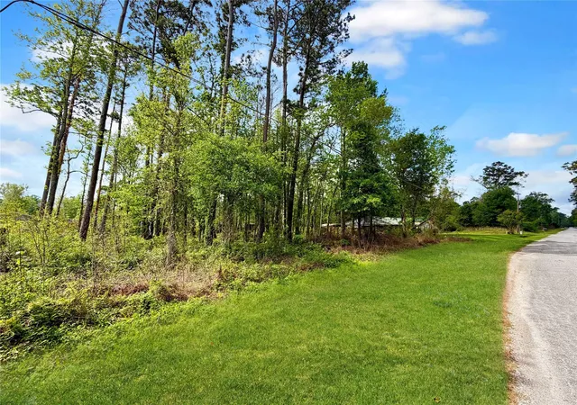Photo 4 of Land for sale at 103 County Rd 432, Dayton, TX 77535 | MLS# 94548689 | Listing updated on 2026-09-21