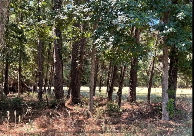 Photo 3 of Land for sale at 0 Mockingbird Hills, Livingston, TX 77351 | MLS# 39066648 | Listing updated on 2026-08-19