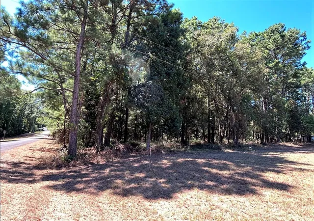 Photo 3 of Land for sale at 0 Mockingbird Hills, Livingston, TX 77351 | MLS# 39066648 | Listing updated on 2026-08-19