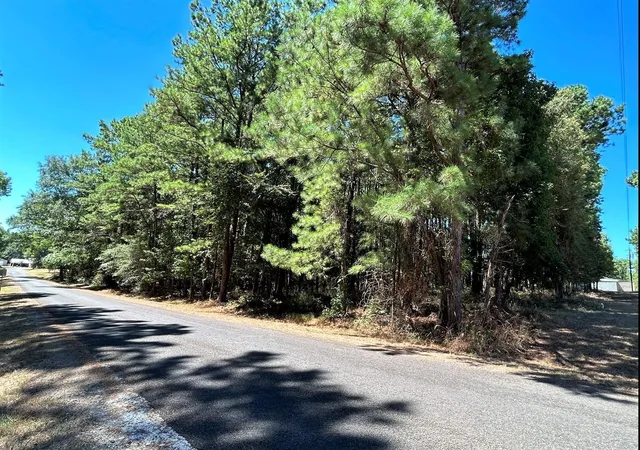 Photo 4 of Land for sale at 0 Mockingbird Hills, Livingston, TX 77351 | MLS# 39066648 | Listing updated on 2026-08-19