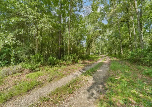 Photo 4 of Land for sale at 1706 County Rd 3011, Dayton, TX 77535 | MLS# 41155445 | Listing updated on 2026-08-13