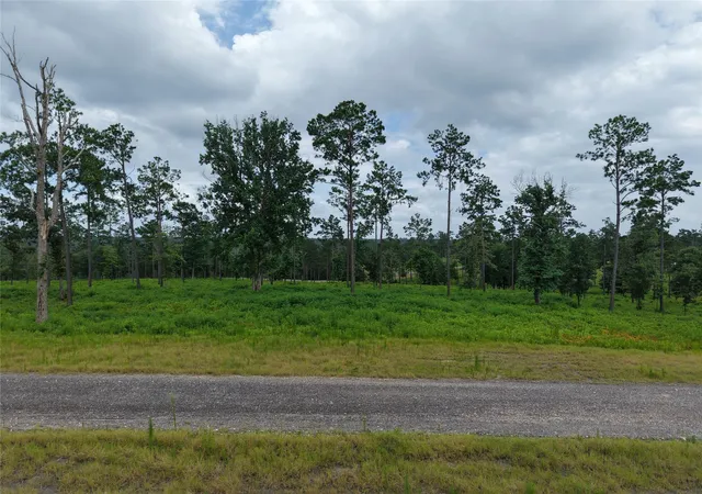 Photo 1 of Land for sale at Lot 82 Grace Cir, Livingston, TX 77351 | MLS# 25212443 | Listing updated on 2026-09-08