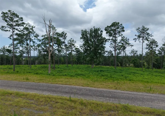 Photo 2 of Land for sale at Lot 82 Grace Cir, Livingston, TX 77351 | MLS# 25212443 | Listing updated on 2026-09-08