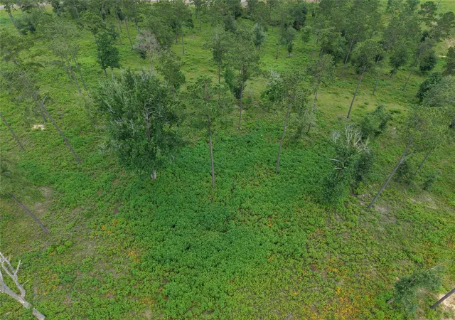 Photo 3 of Land for sale at Lot 82 Grace Cir, Livingston, TX 77351 | MLS# 25212443 | Listing updated on 2026-09-08