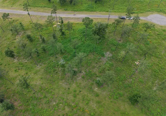 Photo 4 of Land for sale at Lot 82 Grace Cir, Livingston, TX 77351 | MLS# 25212443 | Listing updated on 2026-09-08