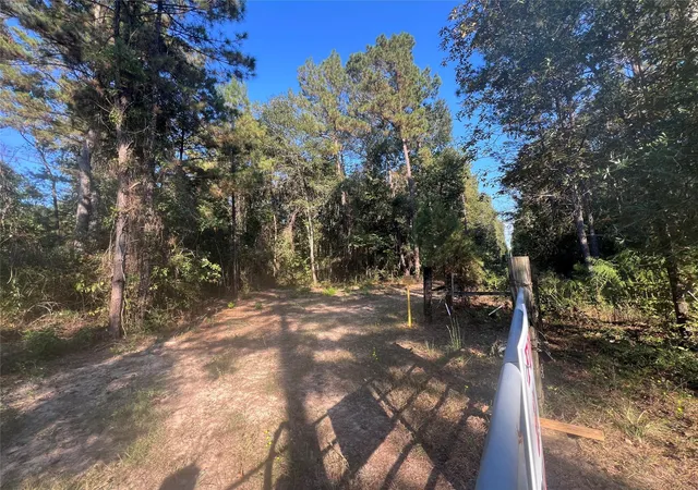 14th image of Tbd Tbd Fm  3081, Willis, TX 77378 | MLS# 76077685