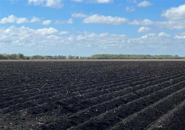 3rd image of 00 County Rd 459, El Campo, TX 77437 | MLS# 26361597