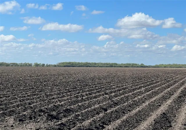 4th image of 00 County Rd 459, El Campo, TX 77437 | MLS# 26361597
