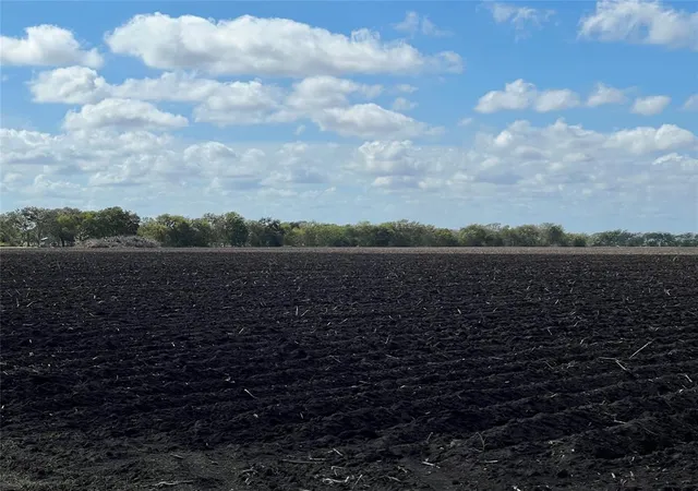 5th image of 00 County Rd 459, El Campo, TX 77437 | MLS# 26361597