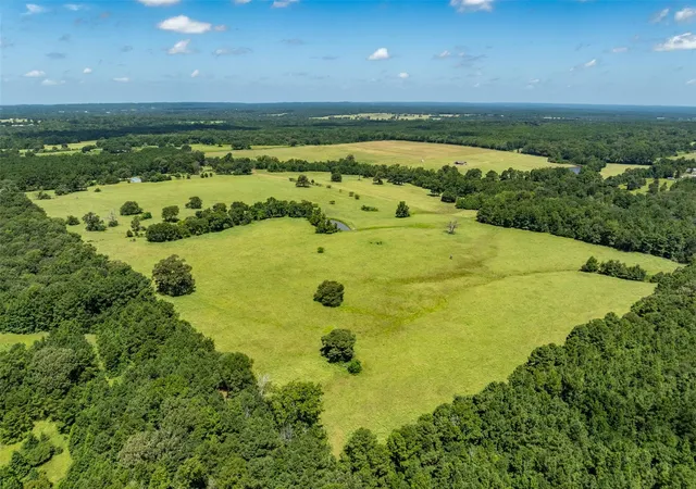 Photo 2 of Land for sale at 1044 Acr 379, Palestine, TX 75801 | MLS# 84743201 | Listing updated on 2026-07-30