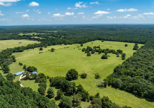 Photo 4 of Land for sale at 1044 Acr 379, Palestine, TX 75801 | MLS# 84743201 | Listing updated on 2026-07-30
