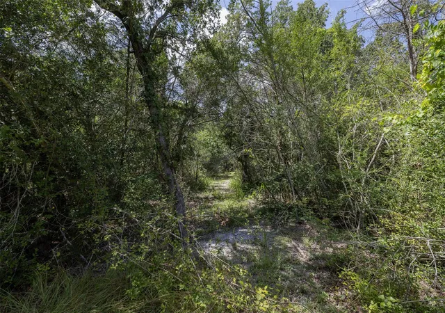 Photo 3 of Land for sale at Tbd Wildlife Cir, Carmine, TX 78932 | MLS# 13037375 | Listing updated on 2026-08-05